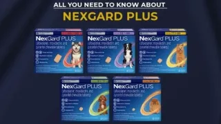All you Need to Know About NexGard Plus