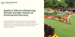 Low-Maintenance Flowering Shrubs Garden Plants: Effortless Beauty