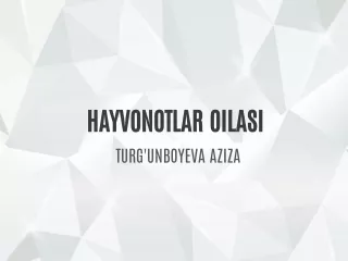 hayvonotlar oilasi