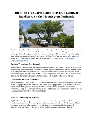 Highline Tree Care Redefining Tree Removal Excellence on the Mornington Peninsula