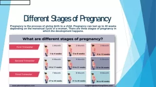 What are different stages of pregnancy?