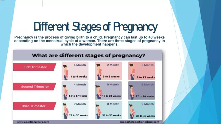 different stages of pregnancy