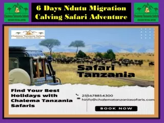 6 Days Ndutu Migration Calving Safari Adventure