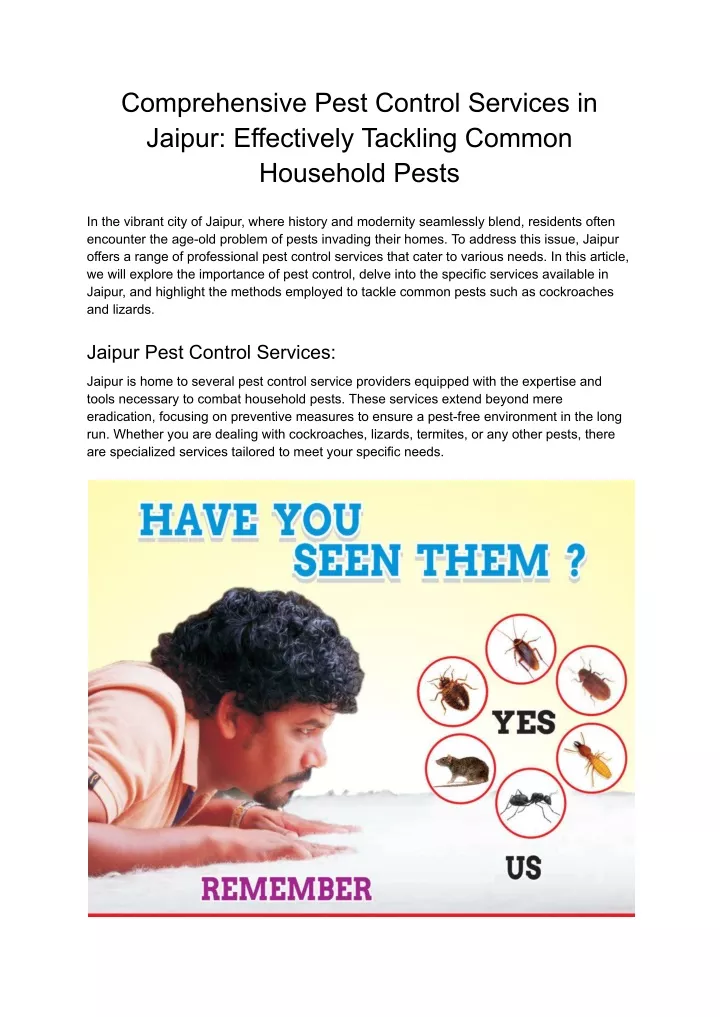 comprehensive pest control services in jaipur