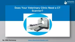 Does Your Veterinary Clinic Need a CT Scanner