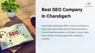 Best SEO Company In Chandigarh