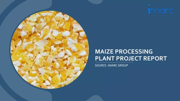 maize processing plant project report