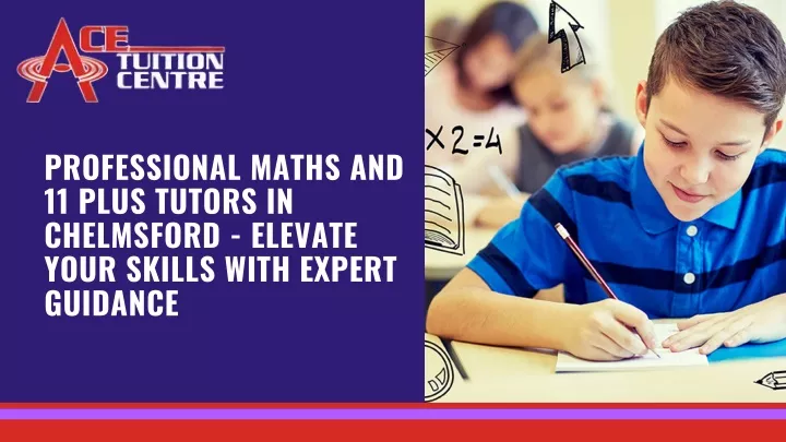 professional maths and 11 plus tutors