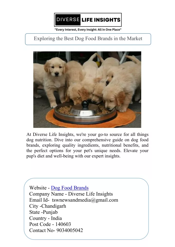 exploring the best dog food brands in the market