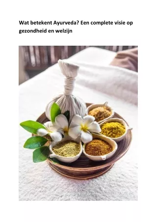 wat betekent ayurveda een complete visie