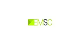 Prominent Digital Marketing Firm in Chicago - EM Search Consulting