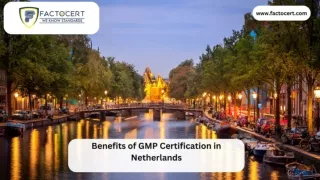 What are the Benefits of GMP Certification in Netherlands?