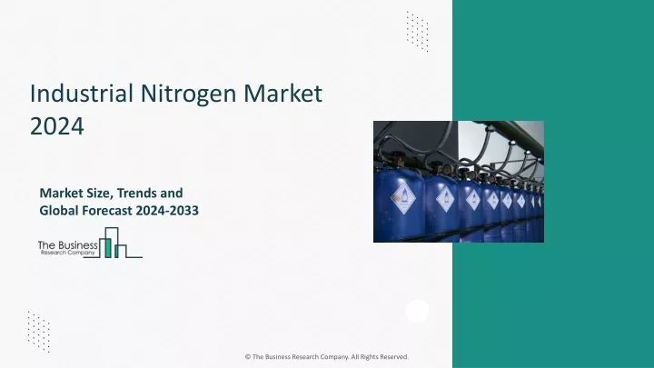 industrial nitrogen market 2024