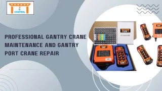 Professional Gantry Crane Maintenance and Gantry Port Crane Repair
