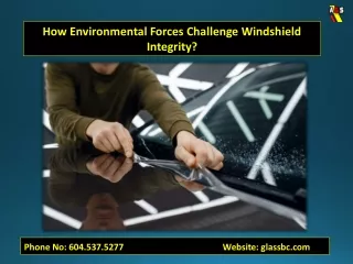 How Environmental Forces Challenge Windshield Integrity?