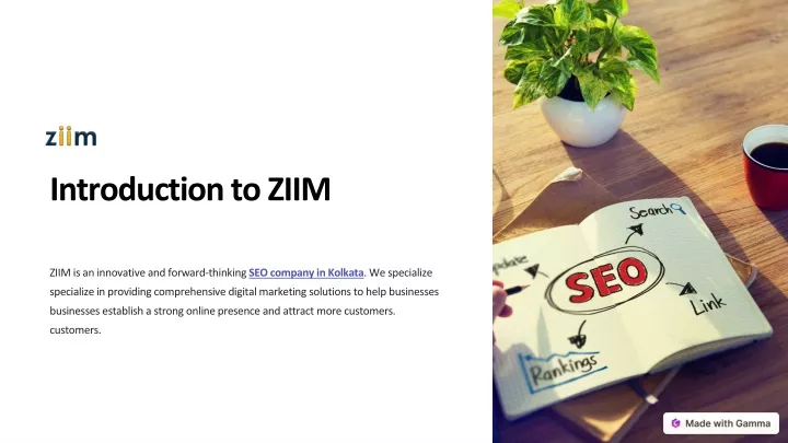 introduction to ziim
