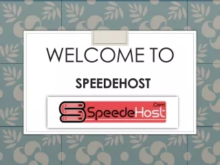 Fast Web Hosting Services | SpeedeHost