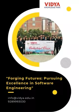 forging futures pursuing excellence in software