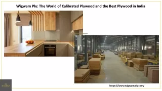Wigwam Ply: The World of Calibrated Plywood and the Best Plywood in India