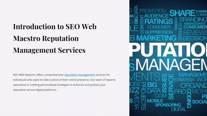 introduction to seo web maestro reputation