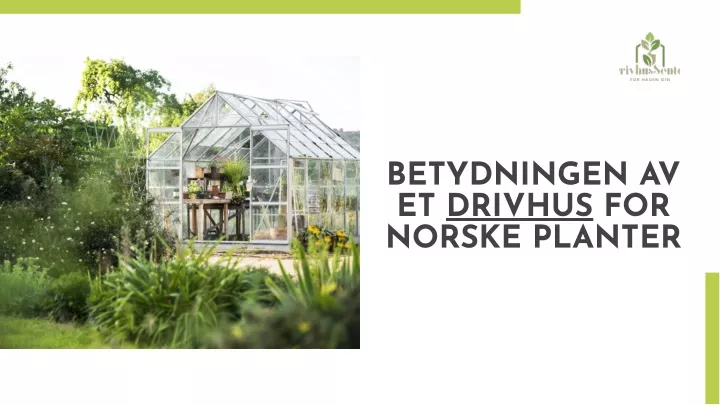 betydningen av et drivhus for norske planter