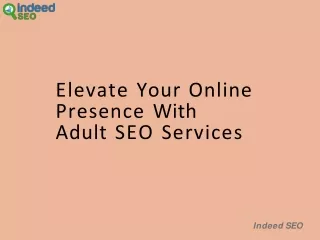 Elevate Your Online Presence with Adult SEO