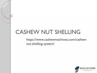 Cashew Nut Shelling System | Advanced Cashew MachinesNut Decorticating Machine,