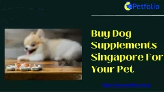 Buy Dog Supplements Singapore With Huge Discounts