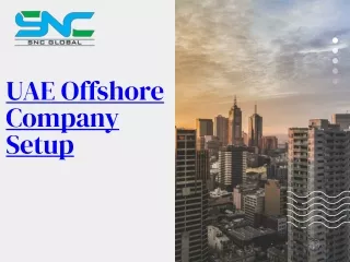 UAE Offshore Company Formation Process