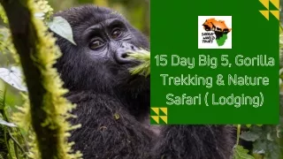 15 Day Big 5, Gorilla Trekking & Nature Safari ( Lodging)