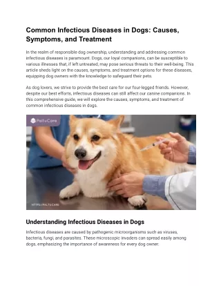 Common Infectious Diseases in Dogs_ Causes, Symptoms, and Treatment
