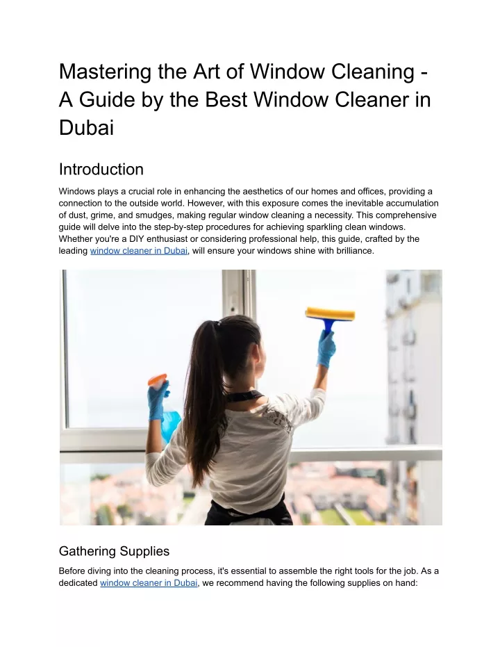 mastering the art of window cleaning a guide
