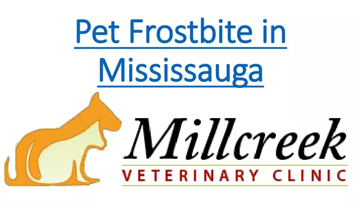 pet frostbite in mississauga