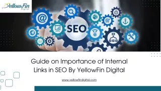 Guide on Importance of Internal Links in SEO By YellowFin Digital