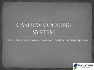 Cashew Cooking System: Steam Boiler, Cooker/Roaster | Cashew Machines