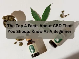 The Top 4 Facts About CBD That You Should Know As A Beginner