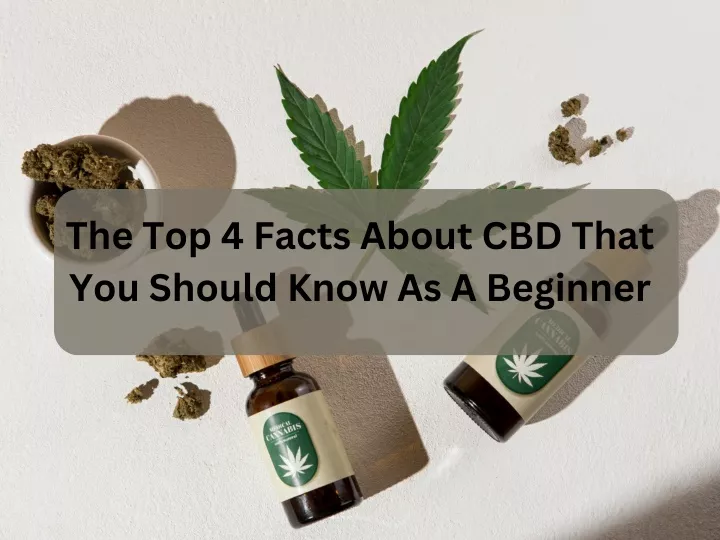 the top 4 facts about cbd that you should know
