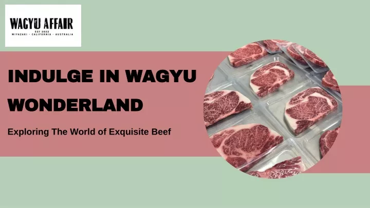 indulge in wagyu wonderland