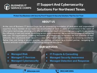 Business IT Service Corps