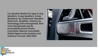 Car Speaker Market PDF
