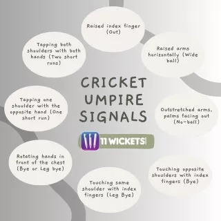 Cricket Umpire Signals: Decoding the Gestures of the Game- 11Wickets Bangladesh