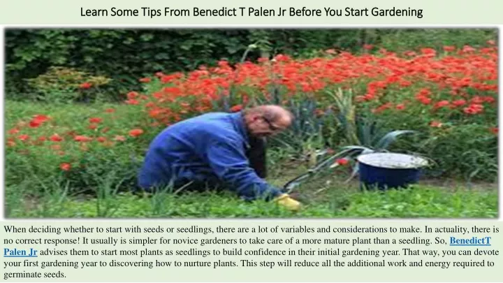 learn some tips from benedict t palen jr before you start gardening