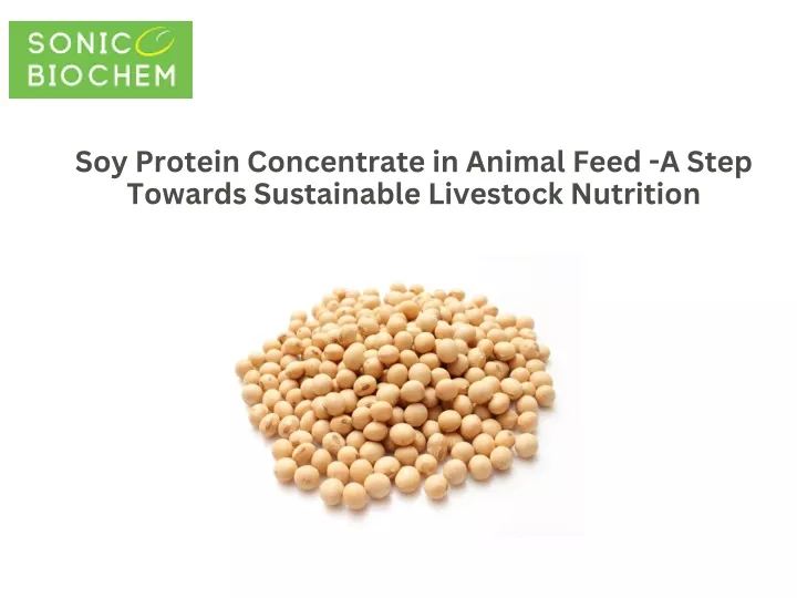 soy protein concentrate in animal feed a step