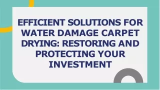 Efficient Solutions for Water Damage Carpet Drying Restoring and Protecting Your Investmen