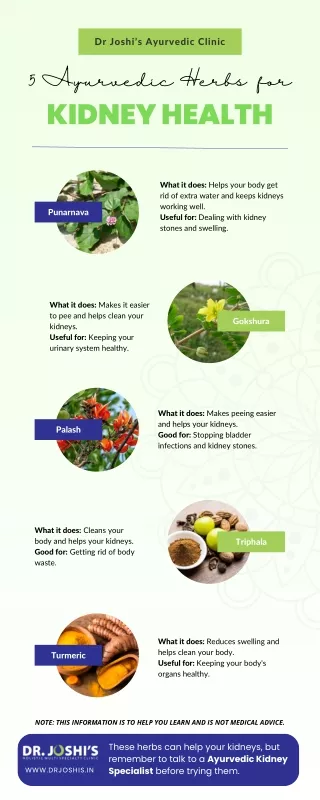 5 Ayurvedic Herbs for Kidney Health