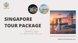 Best Singapore Tour Packages At Amazing Prices - Travel Case