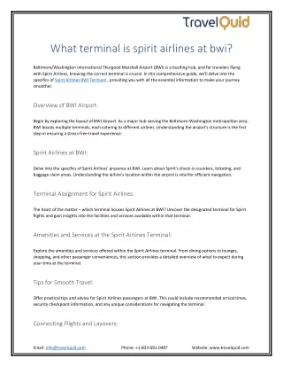 What terminal is spirit airlines at bwi?