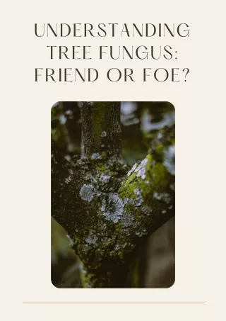 Understanding Tree Fungus Friend or Foe