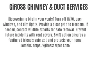 GiROSS CHIMNEY & DUCT SERVICES
