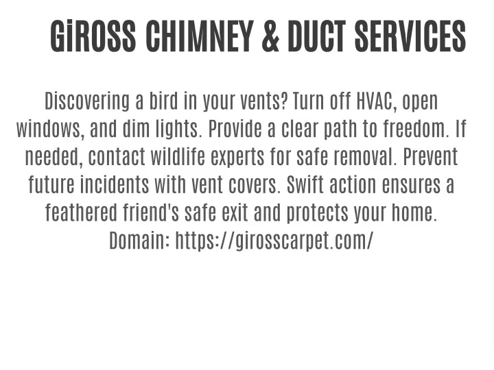 giross chimney duct services